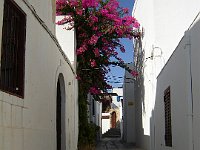 Foto 080